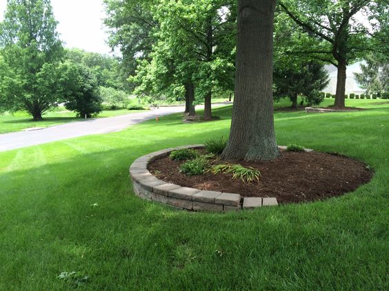 landscaping around trees