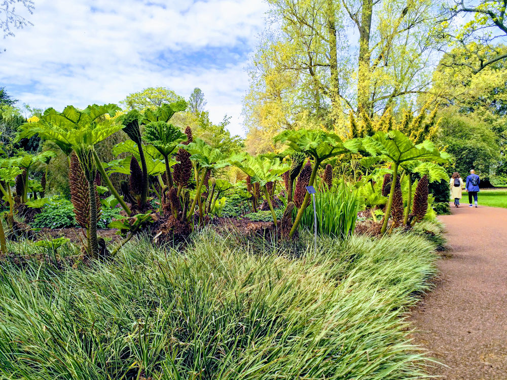 Urban Paradise garden 