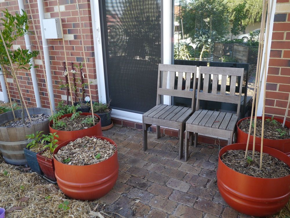 Eco Friendly Design Tips for Your Garden 