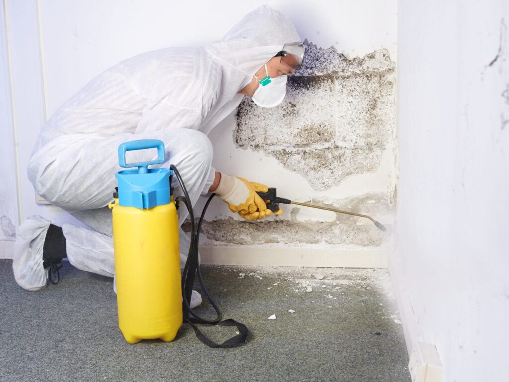 Mold Extraction in Homes 