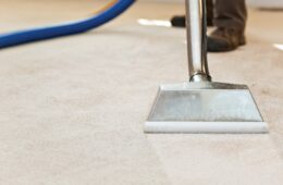 Simple Carpet Care Tips
