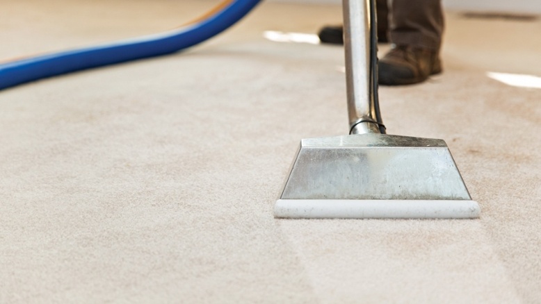 Simple Carpet Care Tips 