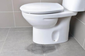 5 Common Toilet Problems And How To Fix Them