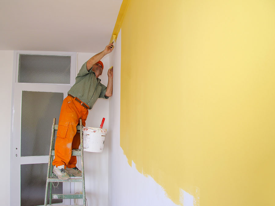 Professional Painting Service 