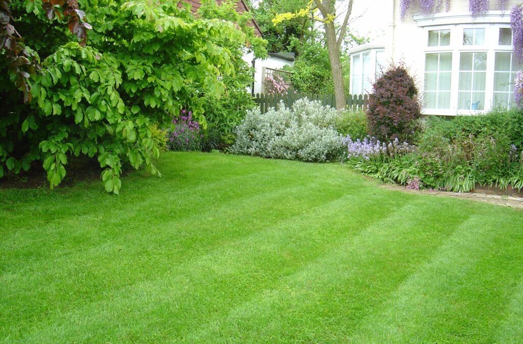 Choosing the Best Grass for Your Lawn 