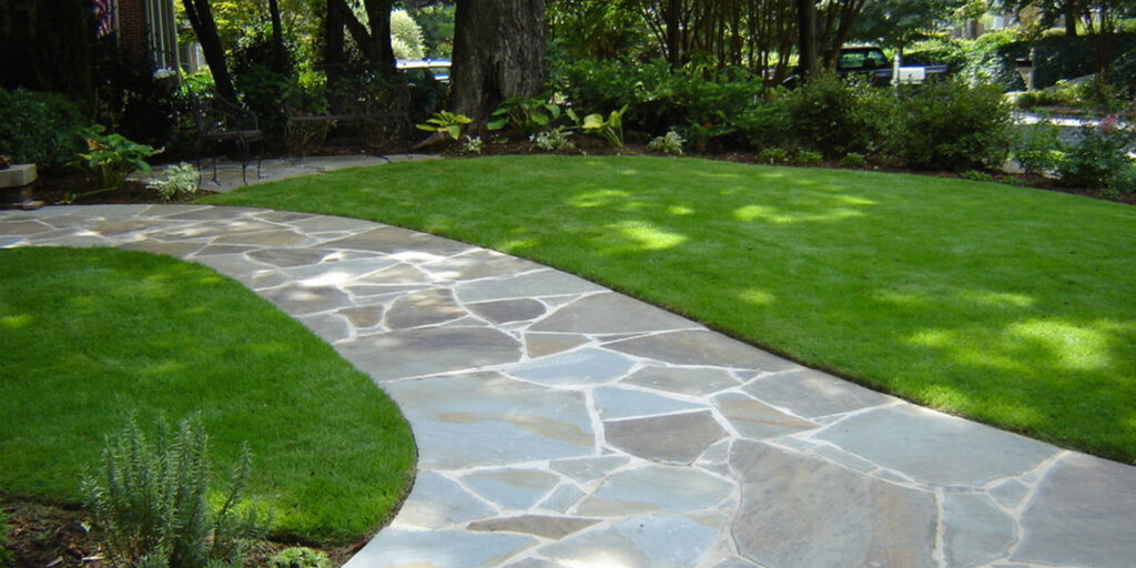 Choosing the Best Grass for Your Lawn 