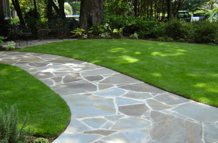Choosing the Best Grass for Your Lawn