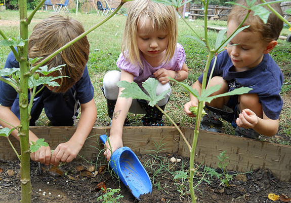 Start Your First Garden 