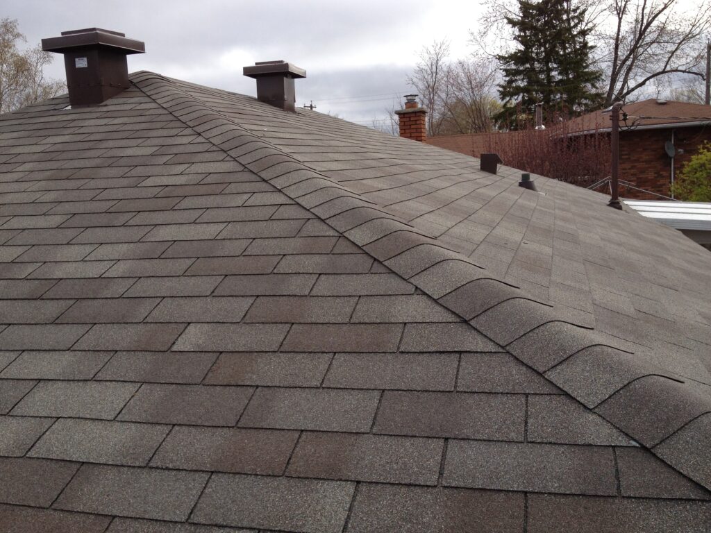 Roof Shingle 