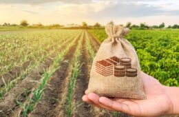 Costs of Buying Farms for Sale