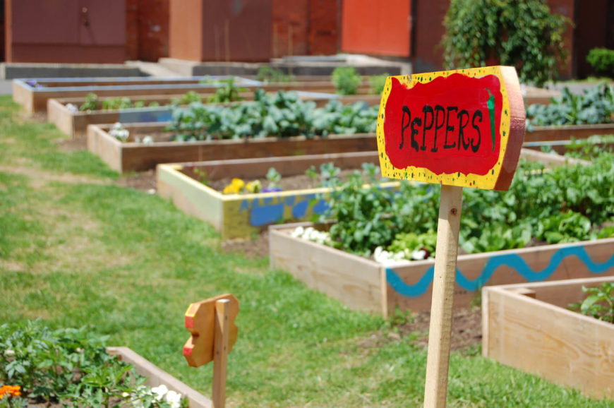 Keep Your Garden Organized 