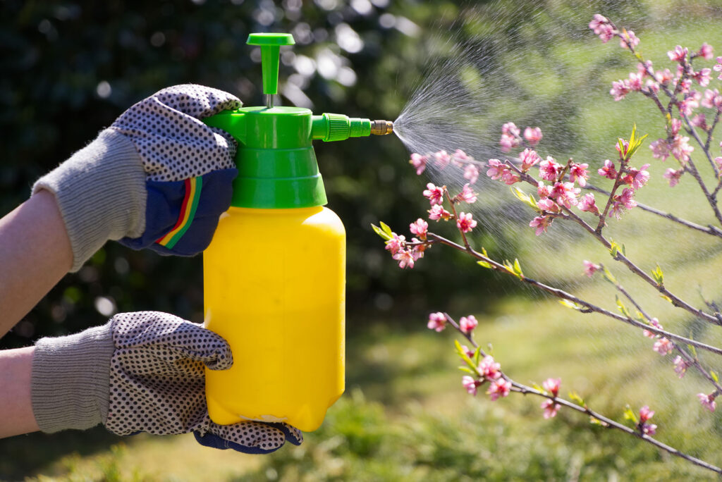 Pesticide Safety Measures 