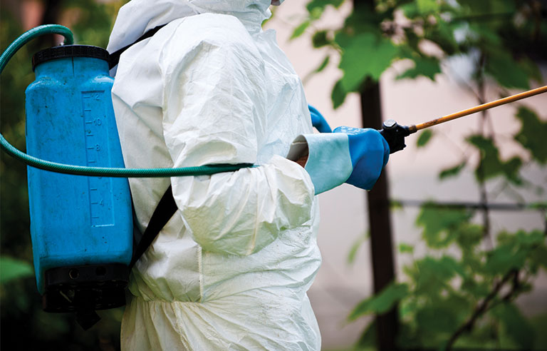 Pesticide Safety Measures 