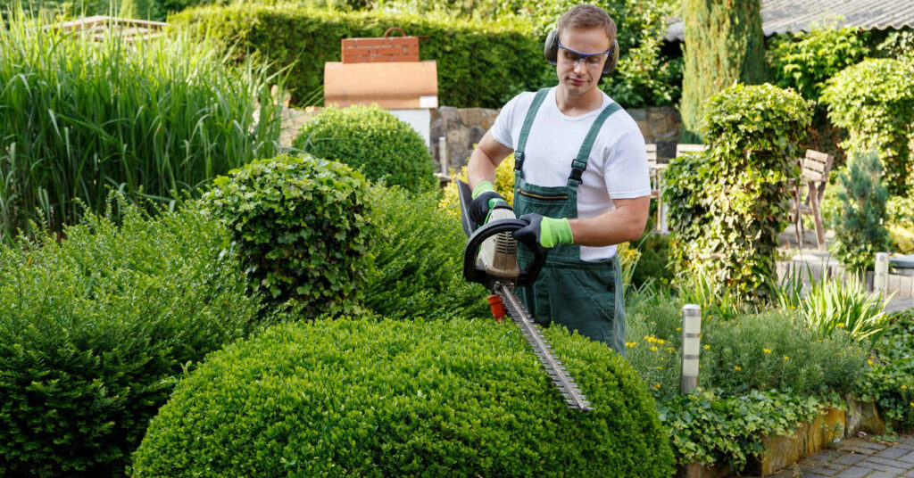 Landscape Contractor 