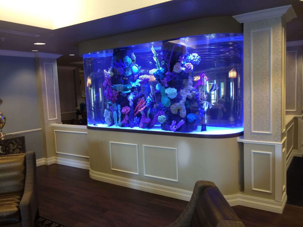 Aquarium as a Home Decoration 