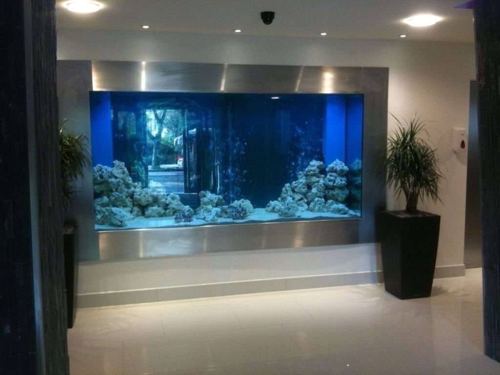 Aquarium as a Home Decoration 