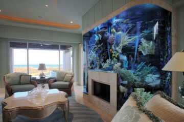 Aquarium as a Home Decoration