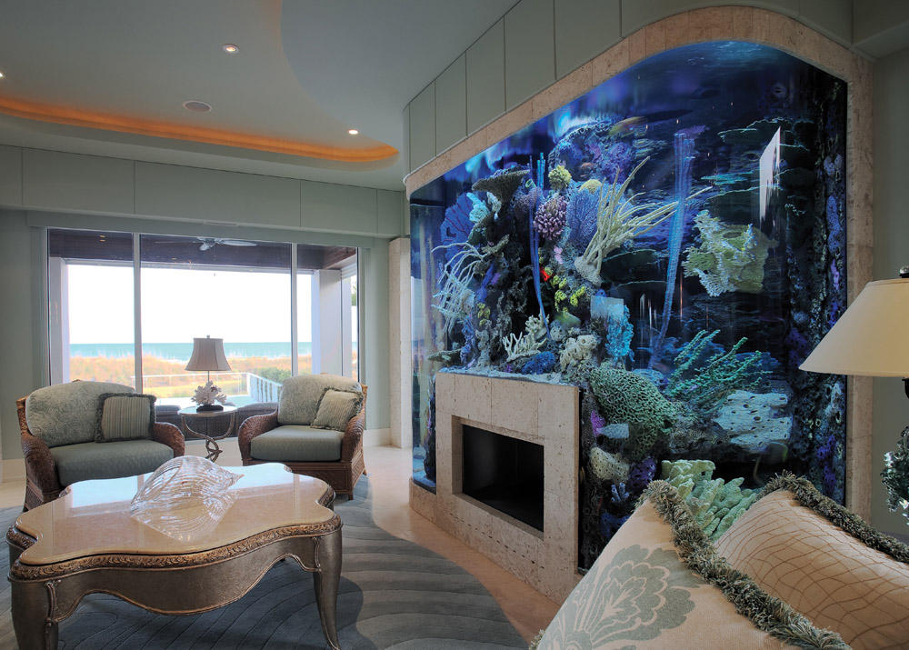 Aquarium as a Home Decoration 