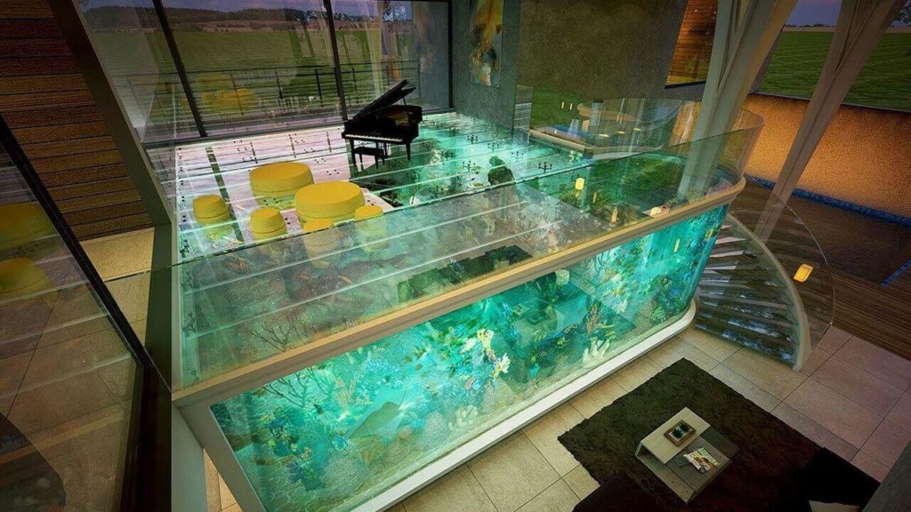 Aquarium as a Home Decoration 