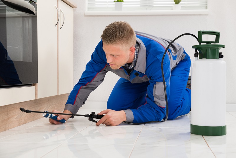 Pest Control Inspections 