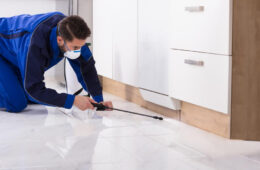 Pest Control Inspections