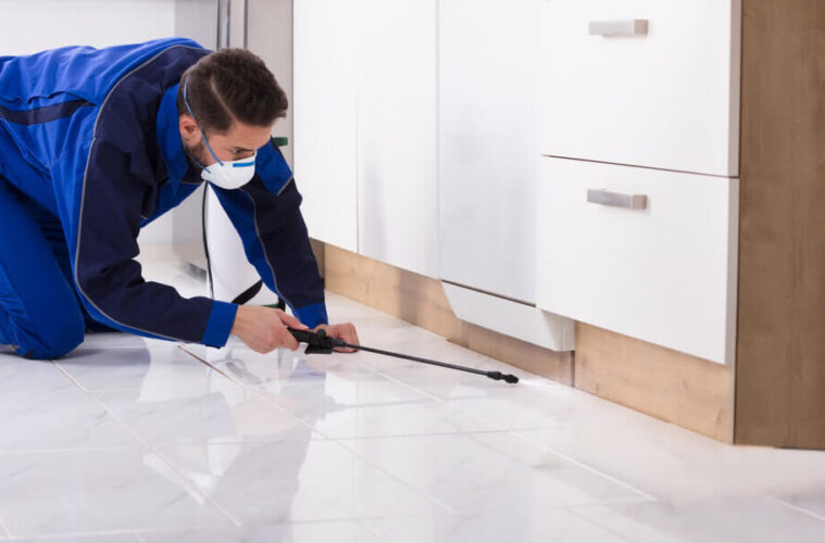 Pest Control Inspections