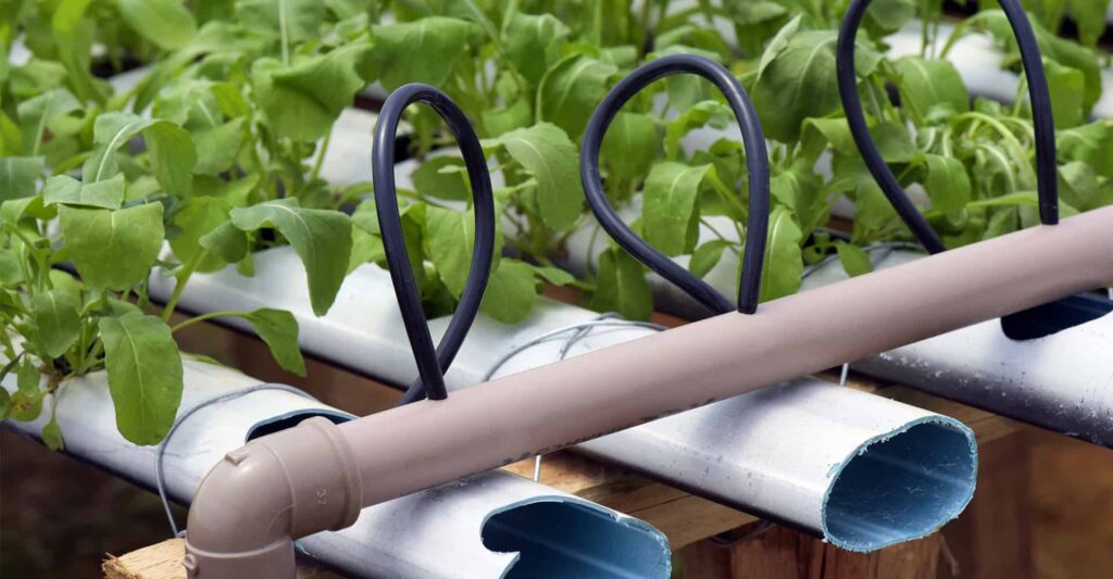 What is a Hydroponic System 