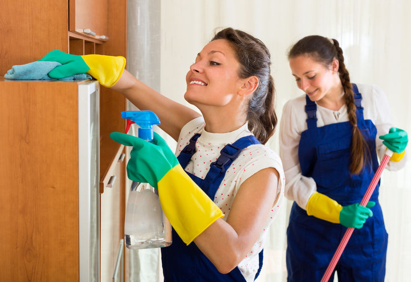 Mastering the Art of House Cleaning 