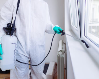 Pest Prevention