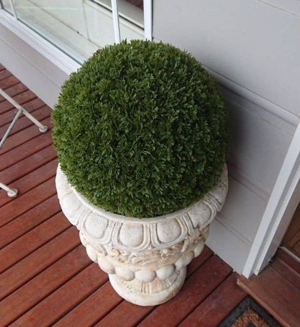 Uses For Artificial Topiary Balls 