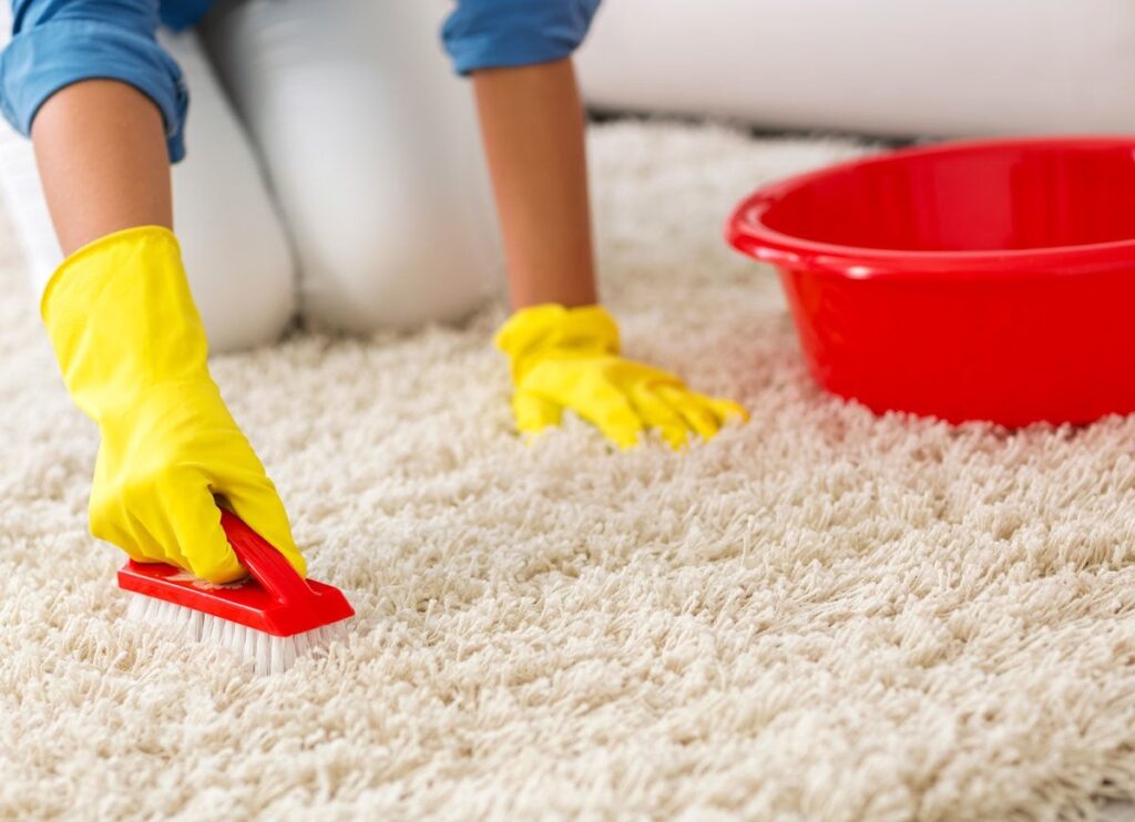 How to Clean Your Carpet 