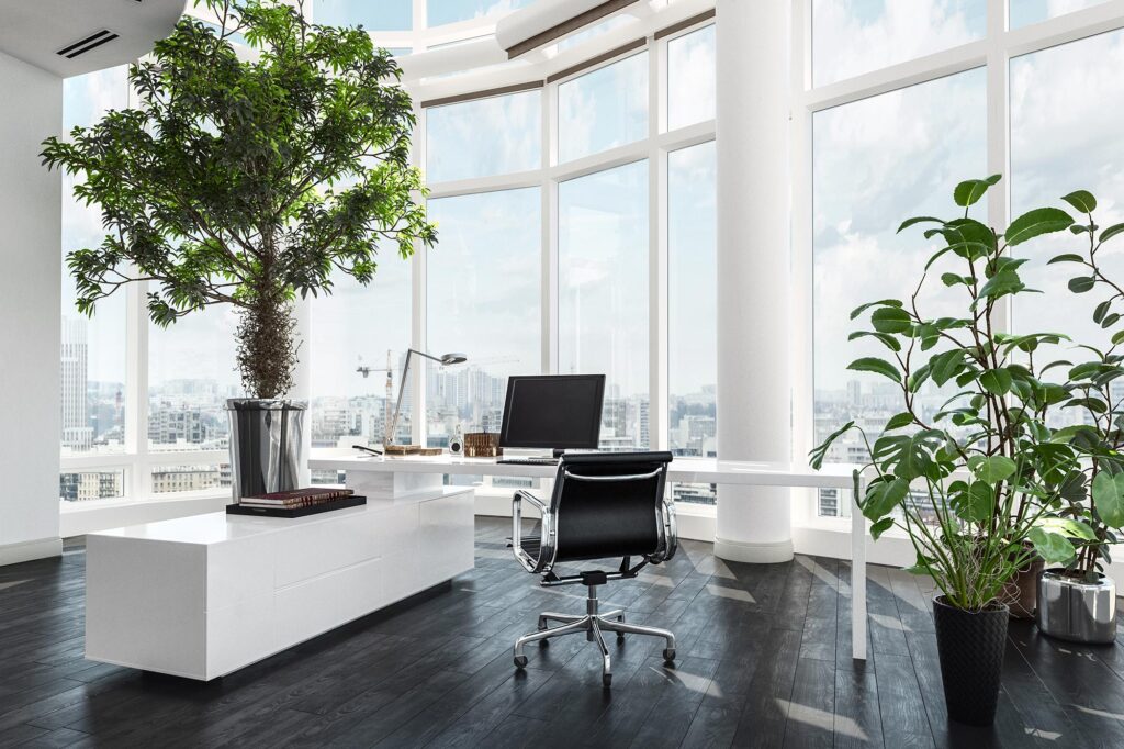 Indoor Plants Elevate Office Design 