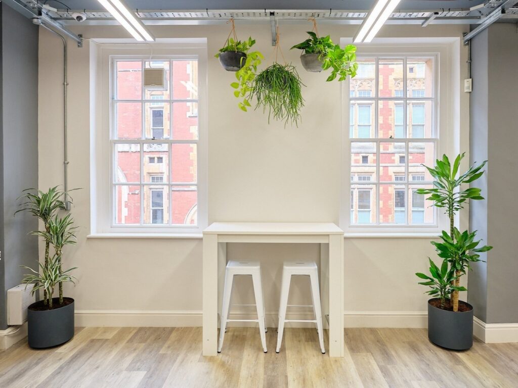 Indoor Plants Elevate Office Design 