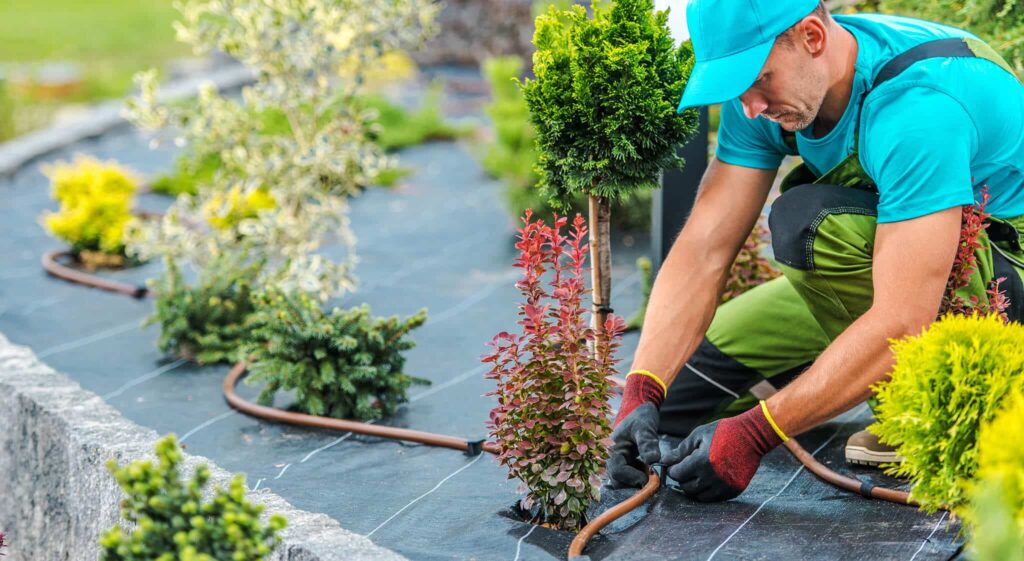 Landscaping Business 