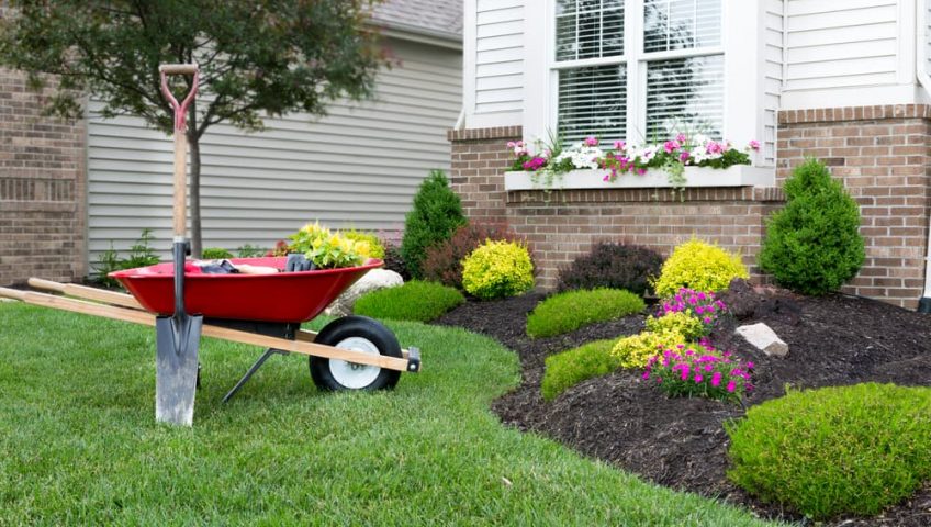 Landscaping Business 