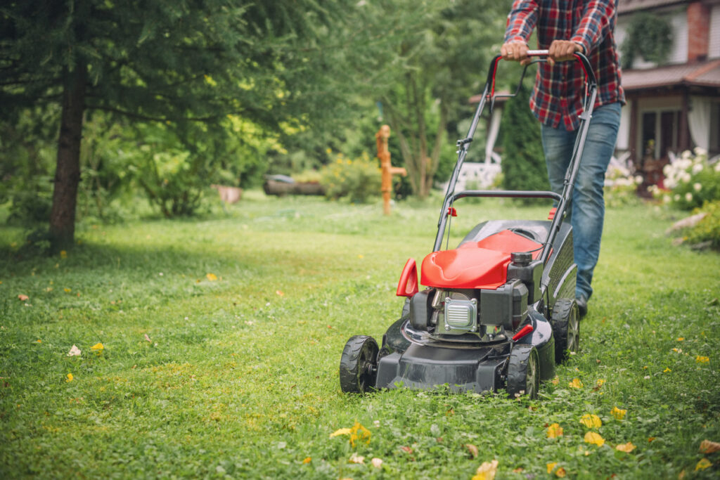 Lawn Care 