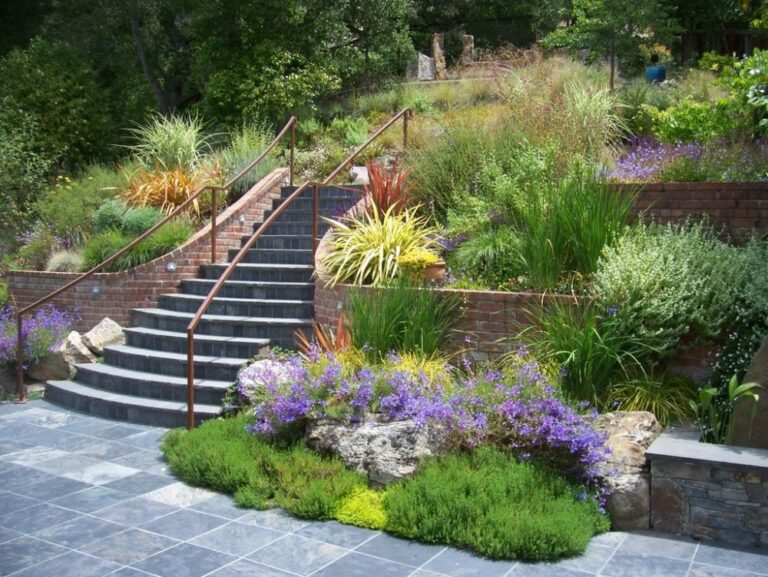 Incorporating Modern and Contemporary Elements in Bay Area Landscape Design