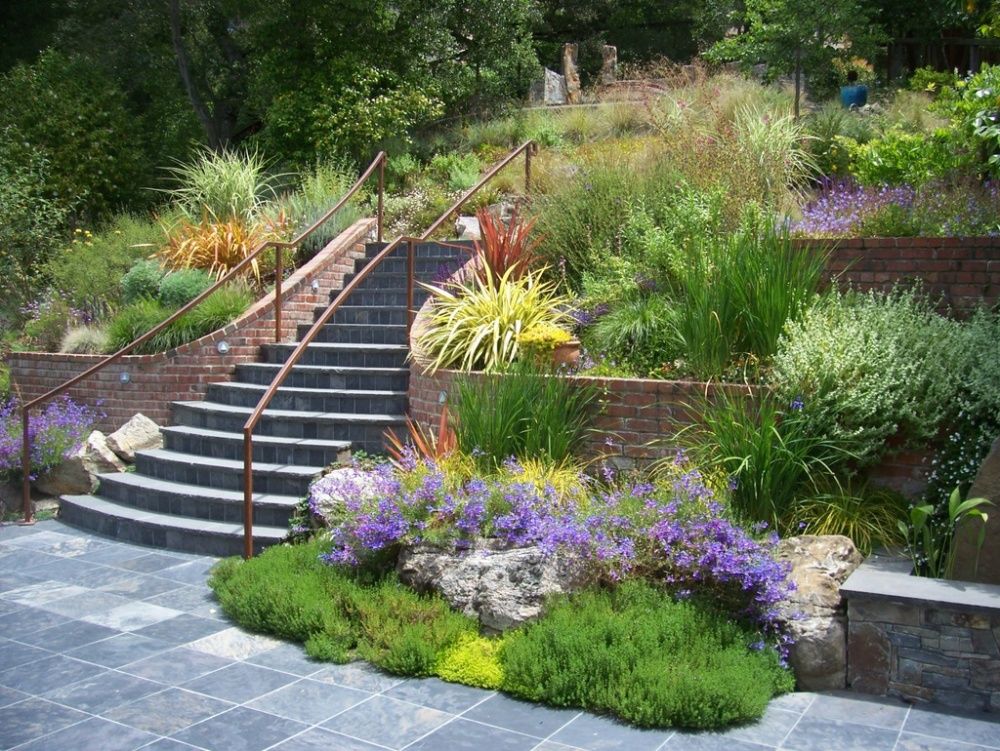 Bay Area landscape design 