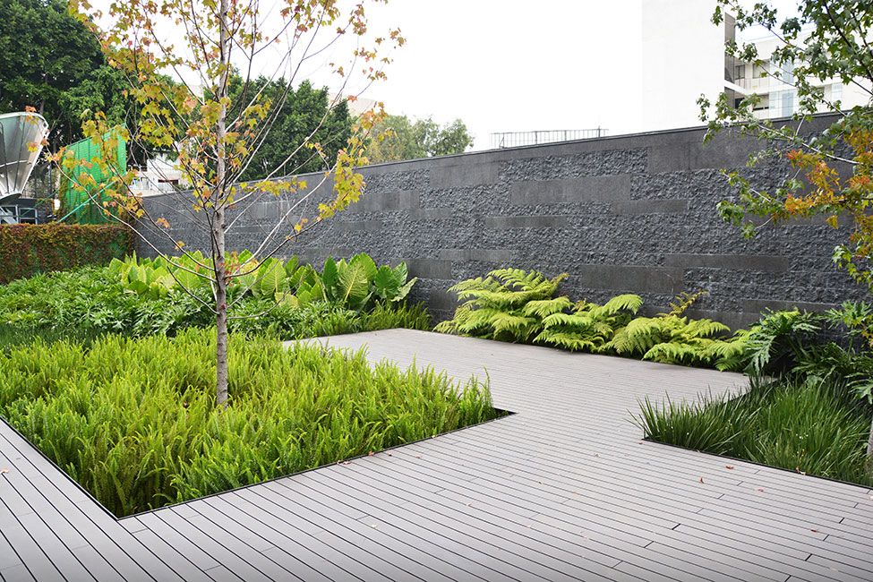 Courtyard Oasis