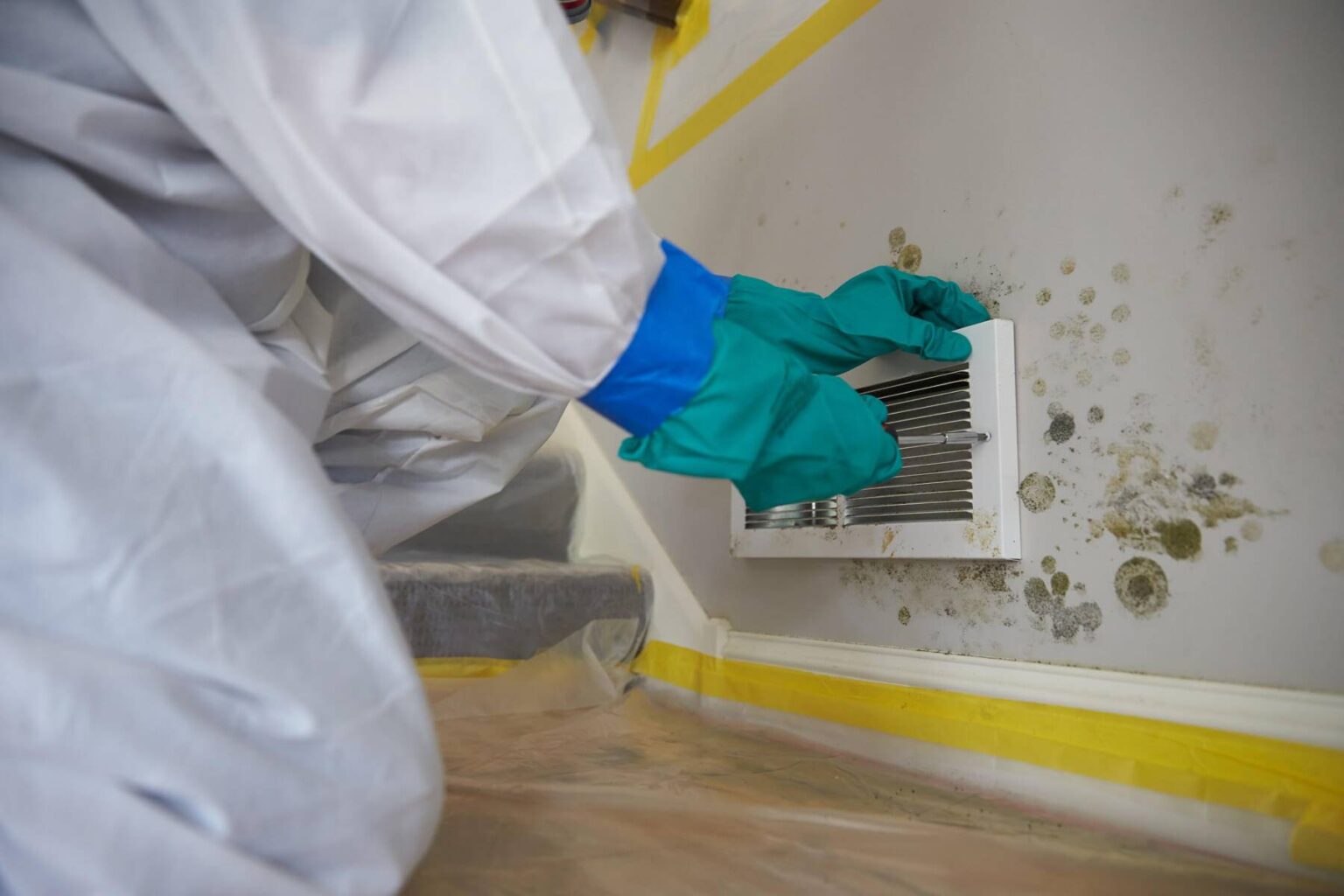 Professional Vs DIY Mold Remediation Pros And Cons   Mold Remediation 1 1536x1024 