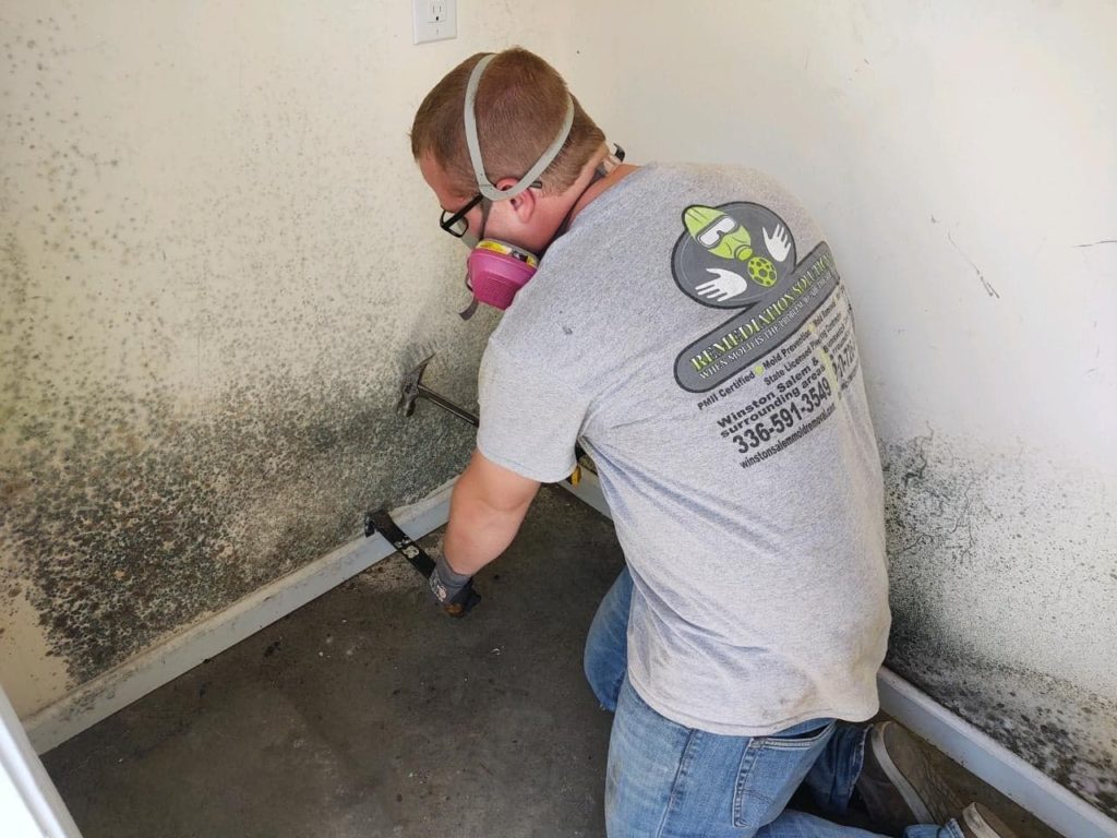 Mold Remediation 