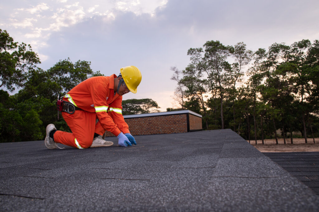 Importance of Timely Roof Maintenance 