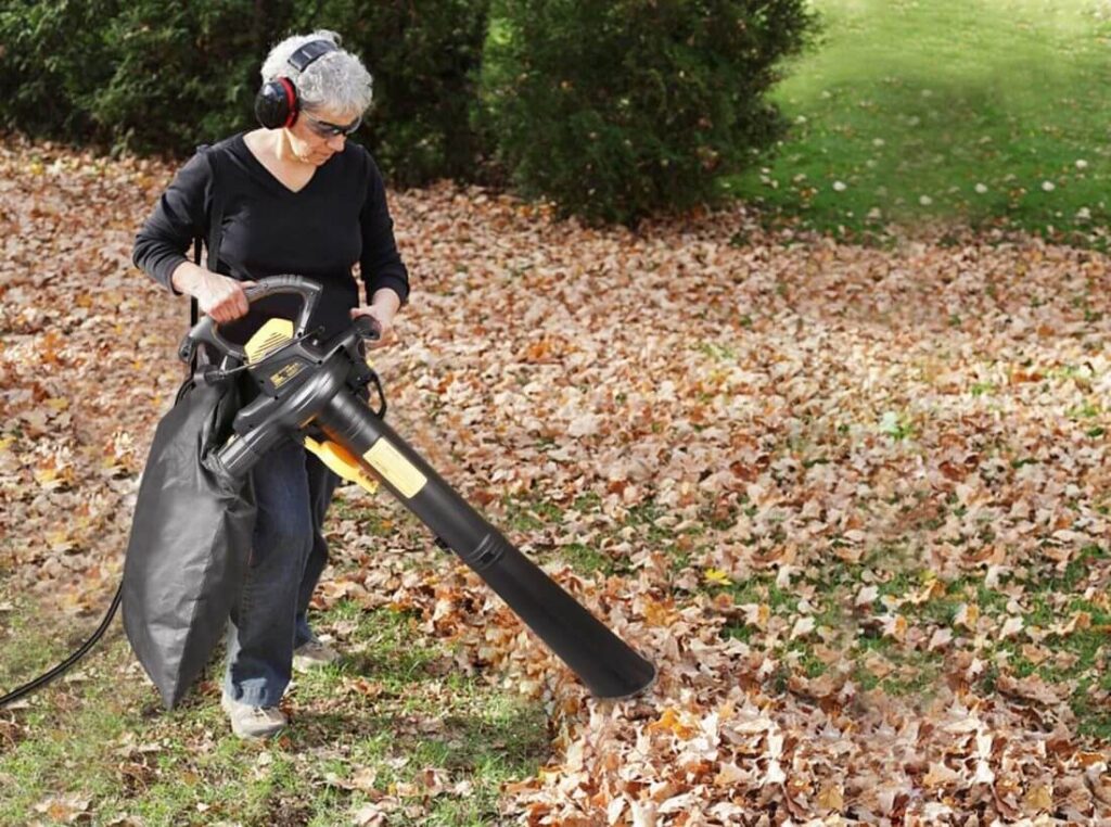 Best Leaf Blower Vacuums 