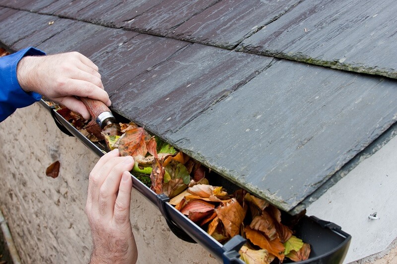 Gutters cleaning 
