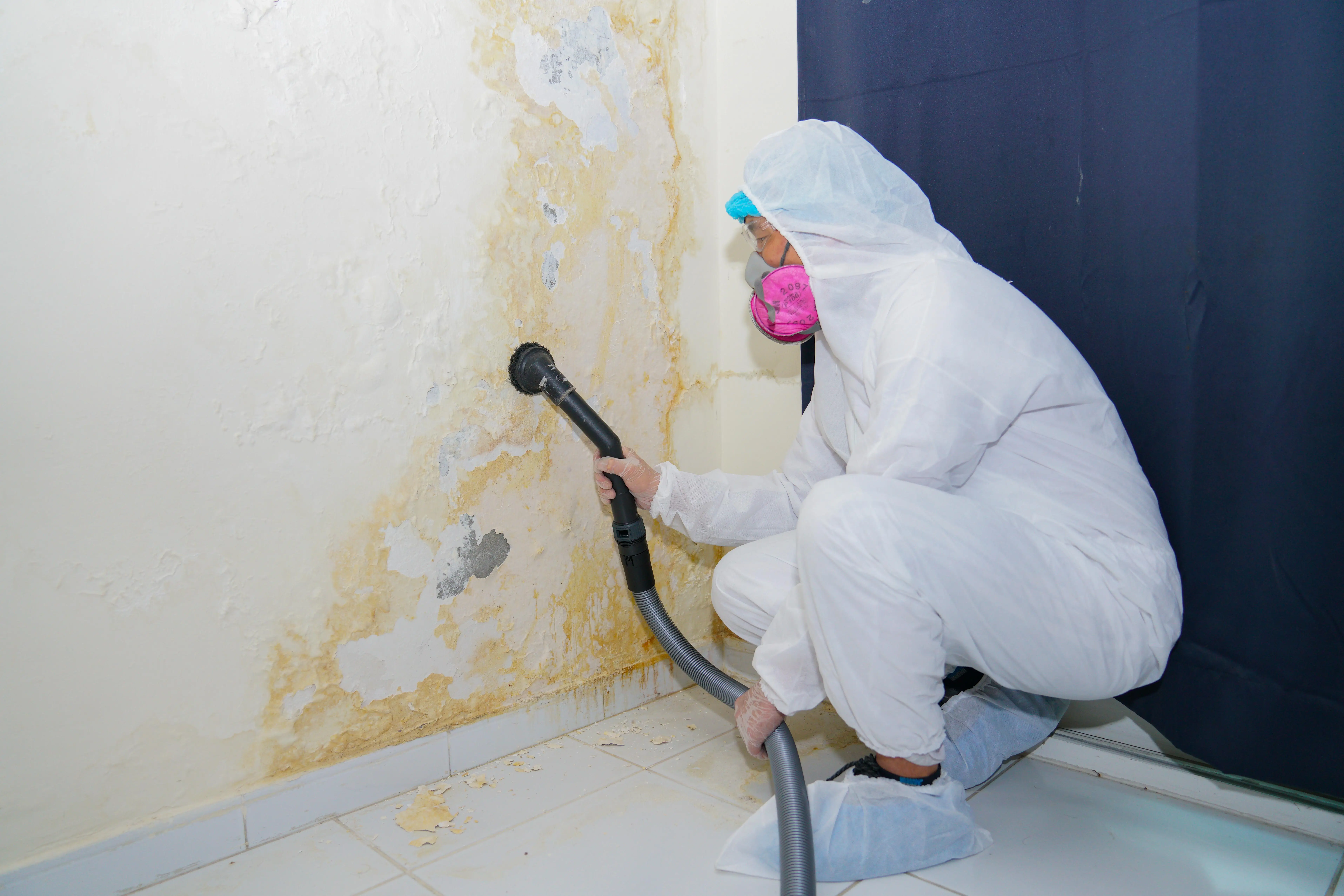 Mold Inspection 