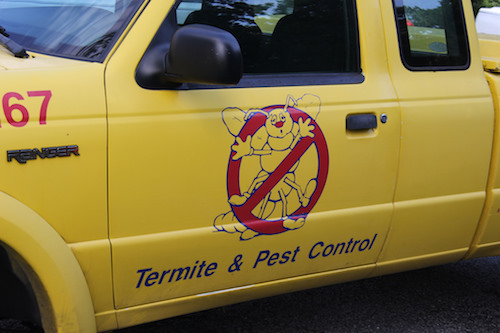 Choosing the Agency for Pest Control