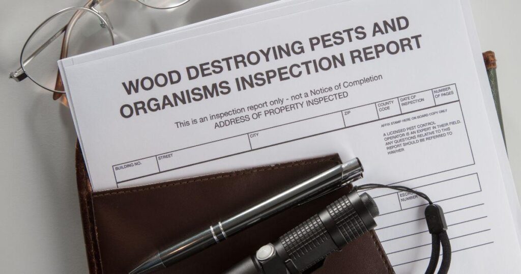 Preparing Your Home for the Pest Inspection