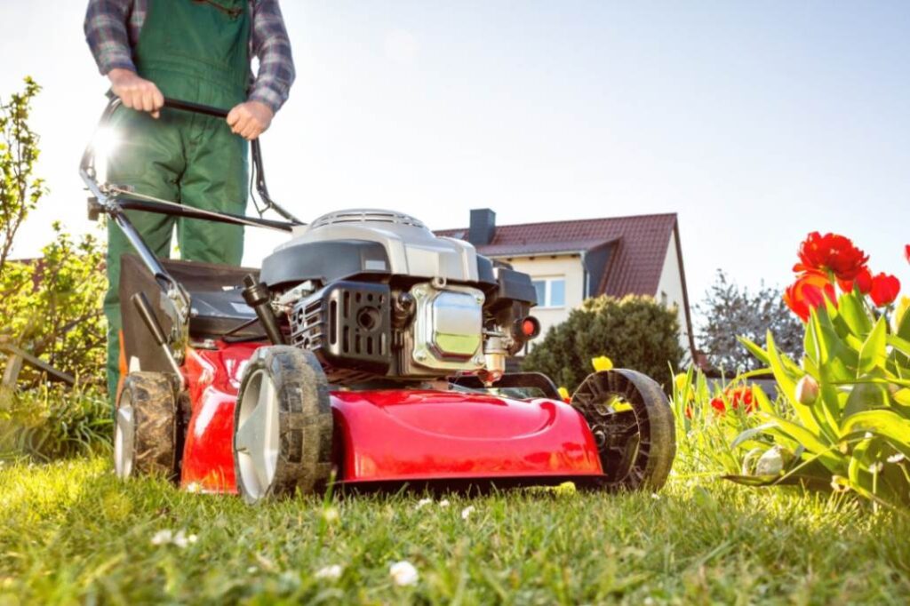 Environmental Impact and Cost Efficiency in lawn mowers