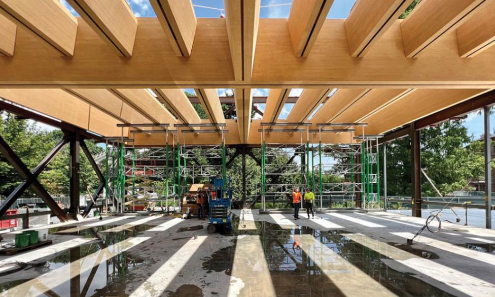 Environmental Impact and Sustainability in mass timber construction