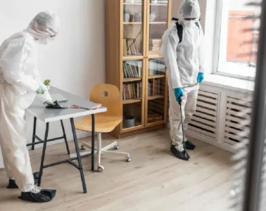 Overlooked Role of Access Point Seals in Allergy and Mold Prevention